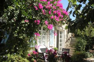 Incirliev - Special Category - 8