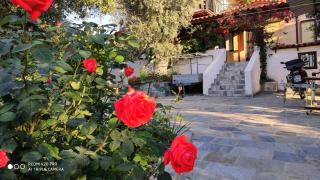 Panorama - Eretria - 9
