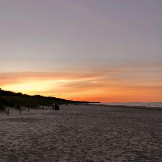 Bungalow im Kiefernwald direkt an der Ostsee (a) - 6