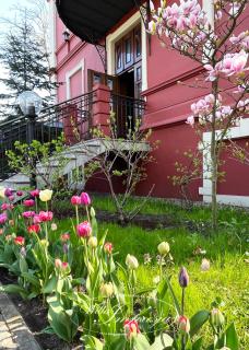 Willa Impresja Hotel i Restauracja - Pabianice - 9