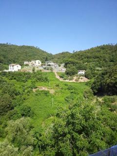 Cà gialla de Drignana - 1