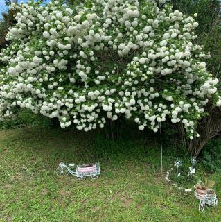 Casa Martini Casa di campagna vicino al mare in esclusiva solo per voi - Gradara - 1