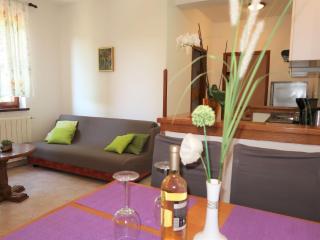 Apartment Mirjana-1 by Interhome - 5