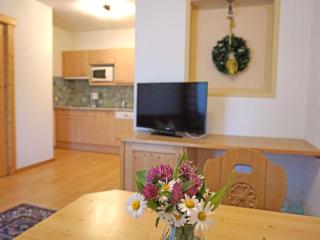 Apartment Diana-4 by Interhome - Pettneu am Arlberg - 3