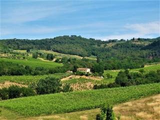 Holiday Home Villa Magna by Interhome - Pian dei Cerri - 8