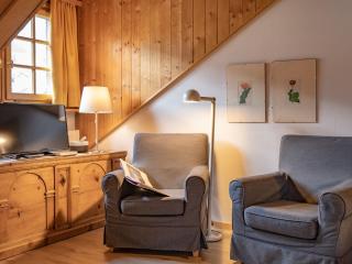 Apartment Chesa Olgiati 1 by Interhome - Celerina - 1