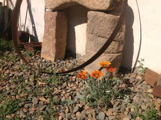 B&B Martina - San Vito - 3