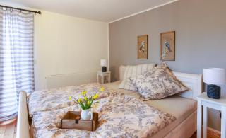 Stadtnest Malchow - für 2-12 Personen in der Inselstadt - Mecklenburgische Seenplatte - 5