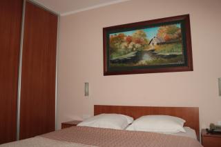 Hotel Perjanik - Danilovgrad - 3