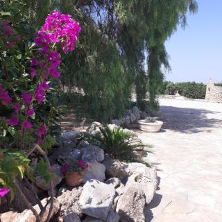 Dolce Salento - 0