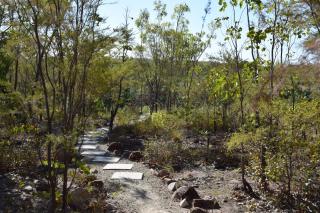 Cicada Lodge - Katherine - 5