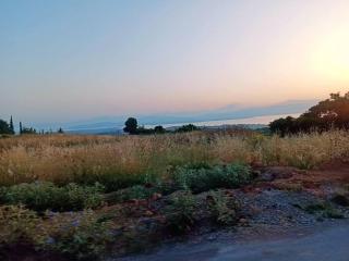 Silver City - - 8
