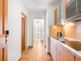 Apartment Rosa-5 by Interhome - Mayrhofen - 3