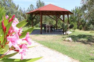 FANTASY GRAND VILLA THASSOS - Astris - 7