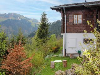 Chalet Chalet Les Pitchounes by Interhome - Moleson - 0