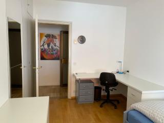 Apartment Lakeview by Interhome - Brissago - 5