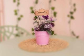 Charming and Cozy House - Nettuno - 6
