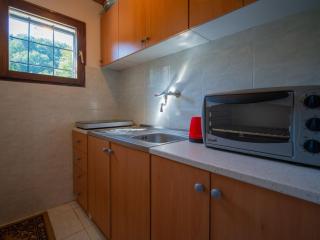 Chalet The Fox by Interhome - Zlobin - 3