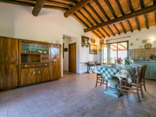 Apartment Tramontana by Interhome - Bibbona - 5