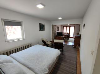 Nikolic Apartment - Leskovac - 4