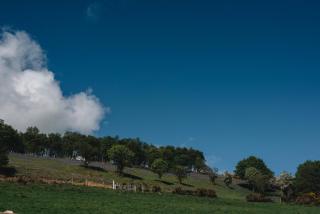 Lamb Cottage - Ballycastle - 7