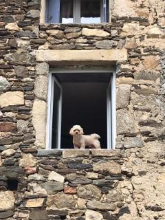 Gîtes chez Daniel "Appartement Cevennes" - 2