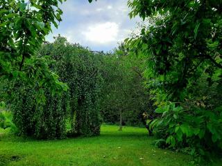 Champêtre Park View Apartments - 8