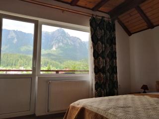 Casa DDM Daniel - Buşteni - 5