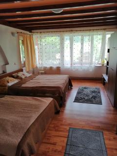 Casa DDM Daniel - Buşteni - 8