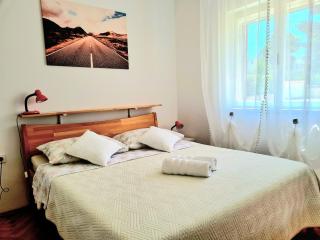 APARTMENT IVANA - Brodarica - 1