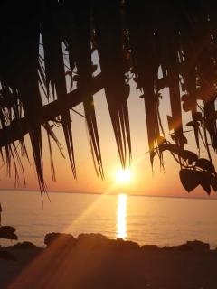 Bleu bijou apartment - 1