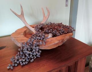 B&B De Flecht - De Skries - Nijega - 6