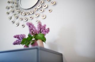 Bei Meyers im Leipziger Neuseenland - 3