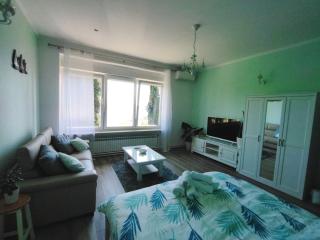 Apartment Villa Edmea 2 - Rijeka - 8