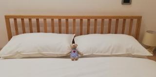 COSY HOME in Trieste Center (WIFI) - Trieste - 8