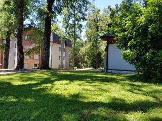 Departamento Acogedor Parque Suizo 800 Pucon - Pucón - 1