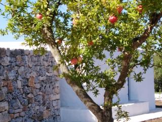 Trullo Margherita - 1