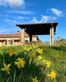 Colle del Faggio Green Immersion House - Cassego - 7