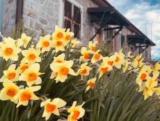 Colle del Faggio Green Immersion House - Cassego - 6