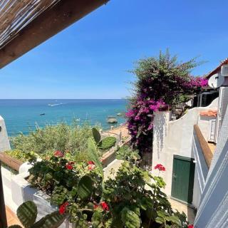 Sea -view Apartament CAVA DELL’ISOLA (FORIO) - Ischia - 5