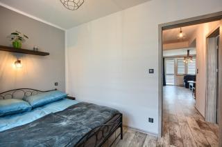 Apartament Dark - Ustrzyki Dolne - 4