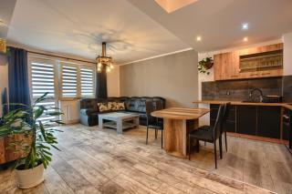 Apartament Dark - Ustrzyki Dolne - 8