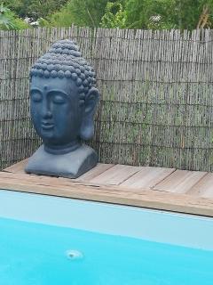 Cottage Tropical - L’Étang-Salé - 6