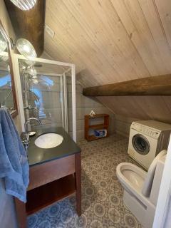 Nemirsetos apartamentai - Palanga - 5