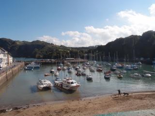 Royal Britannia Hotel - Ilfracombe - 2