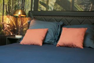 Le Classy, T3 hypercentre chic et cosy, Wifi par SOVALFI - 1
