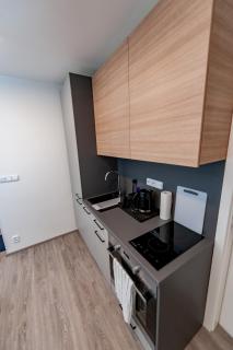 Apartments 4u: KAMPUS Upstairs Hradec Králové - 2