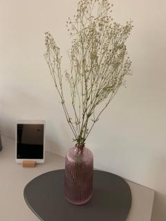 Loft de lujo con piscina LA ENVIA - 5