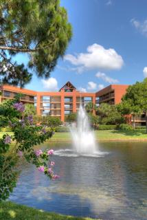 Rosen Inn Lake Buena Vista - Orlando - 6