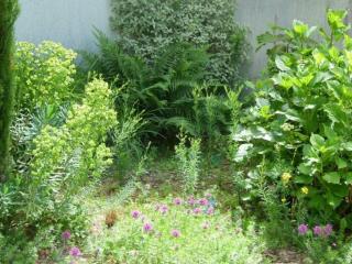 Gîte rénové calme avec jardin fleuri, à proximité du canal de Nantes à Brest et de la forêt du Gâvre - FR-1-306-1007 - Blain - 4